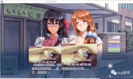 绝对服从在线观看